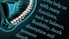 IMG_2877 Your Spine is Your Lifeline. Joseph Pilates